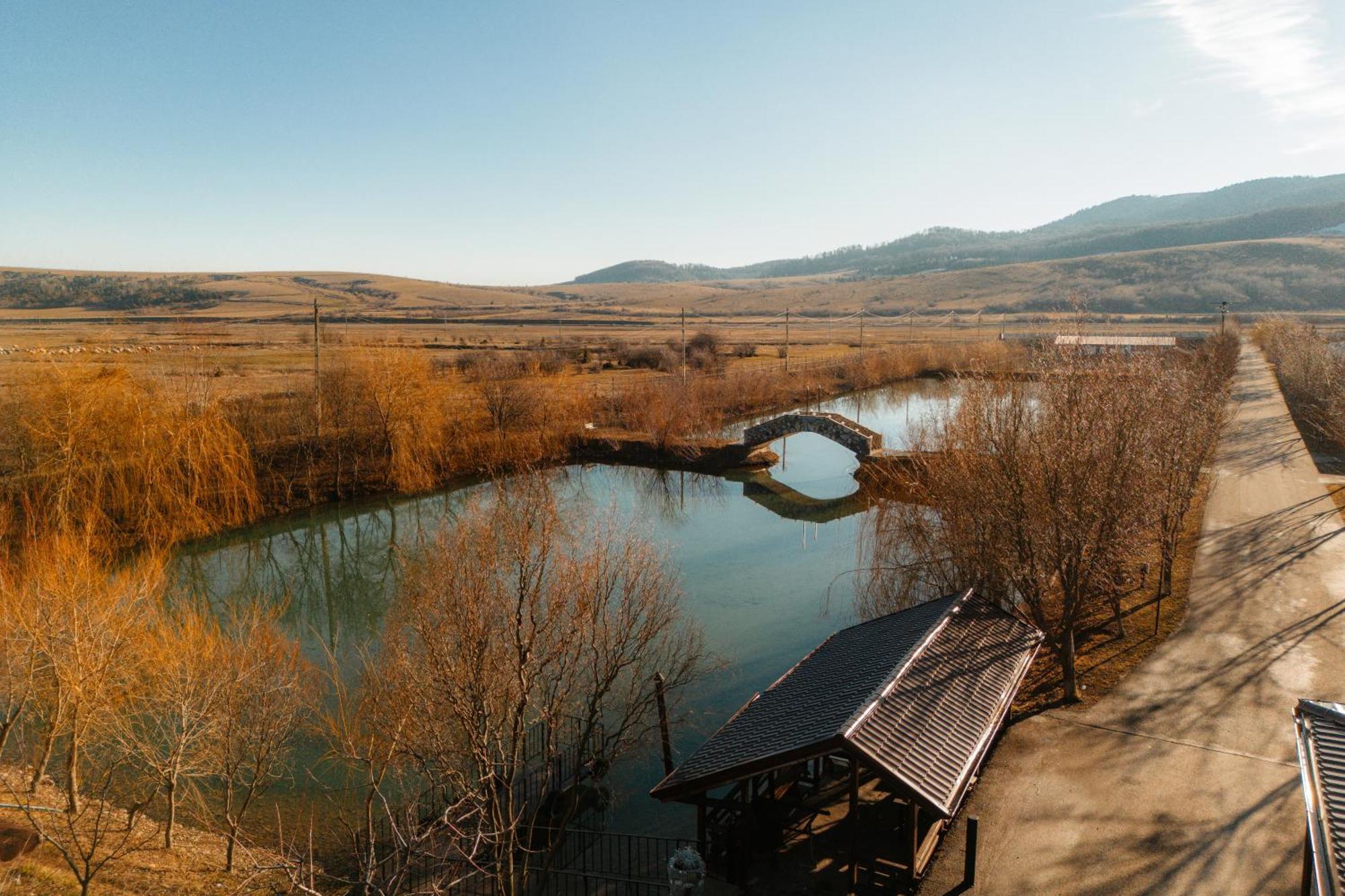Pastravaria Ursu Vînători-Neamţ Dış mekan fotoğraf