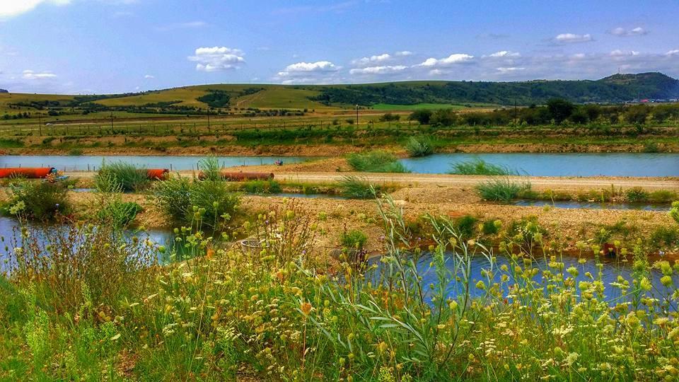 Pastravaria Ursu Vînători-Neamţ Dış mekan fotoğraf