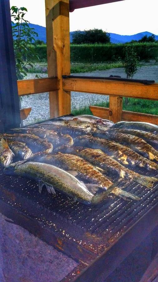 Pastravaria Ursu Vînători-Neamţ Dış mekan fotoğraf