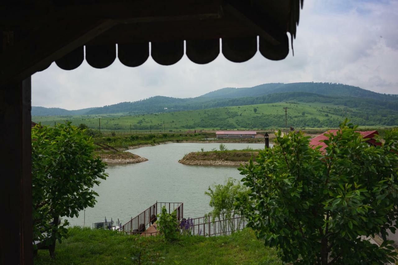 Pastravaria Ursu Vînători-Neamţ Dış mekan fotoğraf